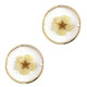 Tussenstuk met gedroogde bloemetjes 20mm - Gold-white